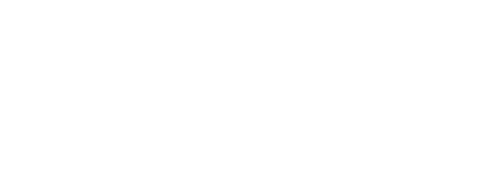 VERDE GROUP